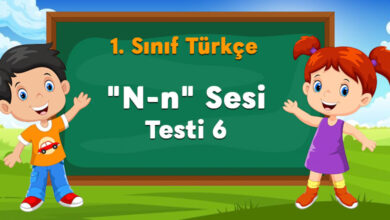 "N-n" Sesi Testi 6