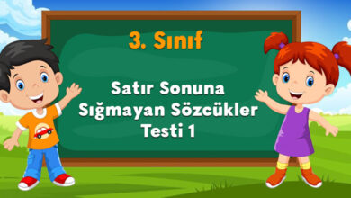 Satır Sonuna Sığmayan Sözcükler Testi 1
