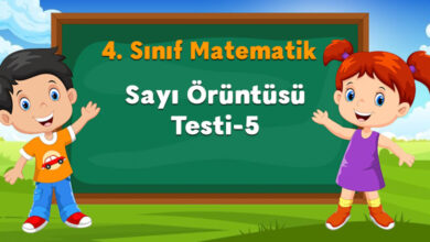 Sayı Örüntüsü Testi-5