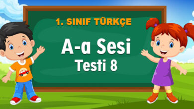 a sesi