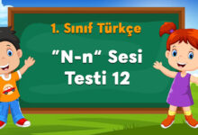 “n” Sesi Testi 12