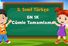 5N 1K Cümle Tamamlama