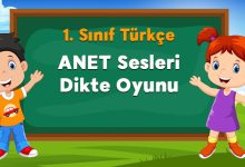 ANET Sesleri Dikte Oyunu