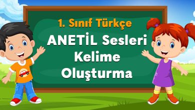 ANETİL Sesleri Kelime Oluşturma