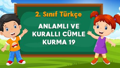 ANLAMLI VE KURALLI CÜMLE KURMA 19