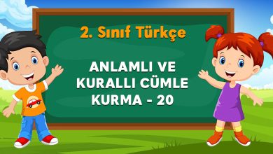 ANLAMLI VE KURALLI CÜMLE KURMA 20