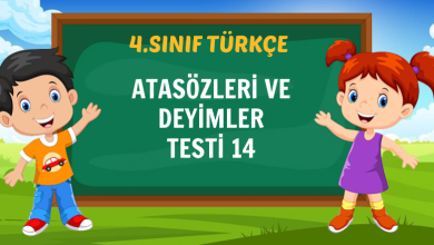 ATASÖZLERİ VE DEYİMLER TESTİ 14