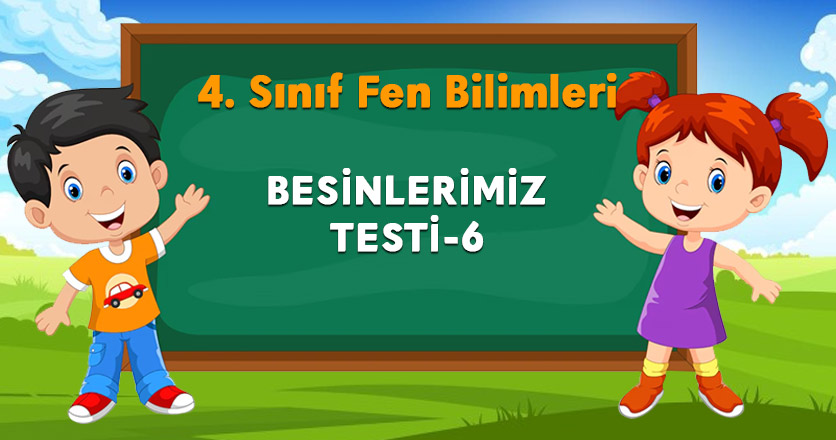 BESİNLERİMİZ TESTİ-6