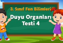Duyu Organları Testi 4