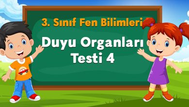 Duyu Organları Testi 4