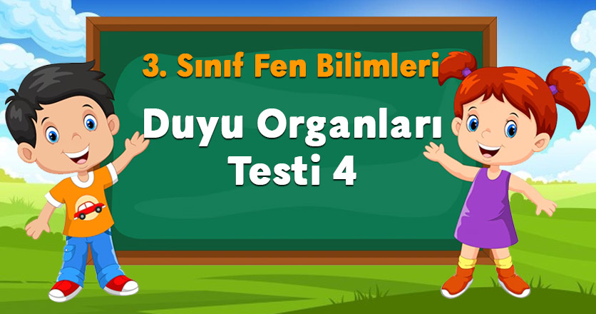 Duyu Organları Testi 4