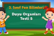 Duyu Organları Testi 5