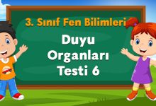 Duyu Organları Testi 6