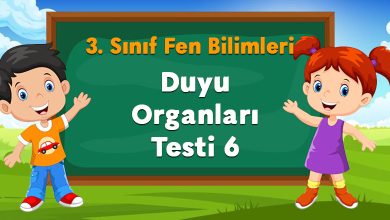 Duyu Organları Testi 6