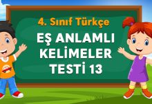 EŞ ANLAMLI KELİMELER TESTİ 13