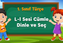L-l Sesi Cümle Dinle ve Seç