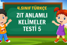 ZIT ANLAMLI KELİMELER BALON PATLATMA OYUNU-5
