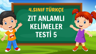 ZIT ANLAMLI KELİMELER BALON PATLATMA OYUNU-5