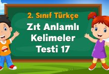 Zıt Anlamlı Kelimeler Testi 17