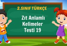 Zıt Anlamlı Kelimeler Testi
