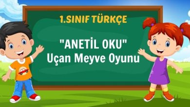 ANETİL OKU Uçan Meyve Oyunu