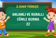 ANLAMLI VE KURALLI CÜMLE KURMA-22