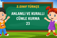 ANLAMLI VE KURALLI CÜMLE KURMA-23