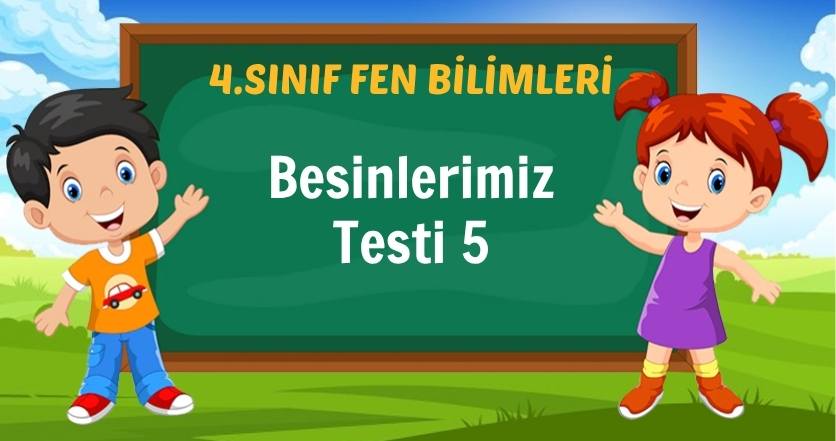 Besinlerimiz Testi 5