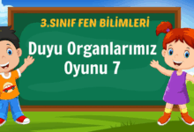 Duyu Organlarımız Oyunu 7