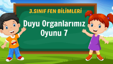 Duyu Organlarımız Oyunu 7