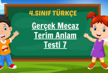 Gerçek Mecaz Terim Anlam