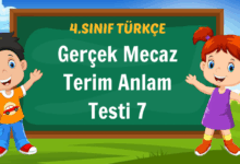 Gerçek Mecaz Terim Anlam Testi 7