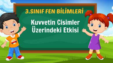 Kuvvetin Cisimler Üzerindeki Etkisi