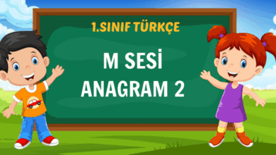 M SESİ ANAGRAM 2
