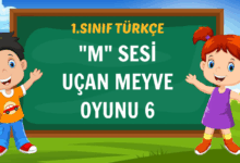 M SESİ UÇAN MEYVE OYUNU 6