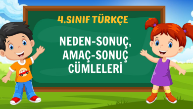 NEDEN-SONUÇ, AMAÇ-SONUÇ CÜMLELERİ