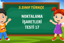 NOKTALAMA İŞARETLERİ TESTİ 17