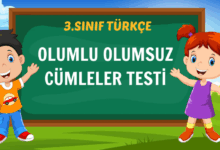 OLUMLU OLUMSUZ CÜMLELER TESTİ