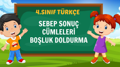 SEBEP SONUÇ CÜMLELERİ