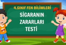 SİGARANIN ZARARLARI TESTİ