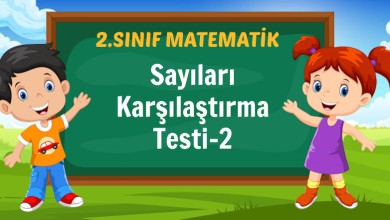 Sayıları Karşılaştırma Testi-2