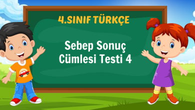 Sebep Sonuç Cümlesi Testi 4