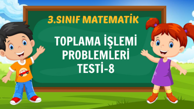 TOPLAMA İŞLEMİ PROBLEMLERİ TESTİ-8