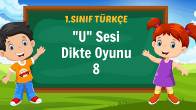 U Sesi Dikte Oyunu 8