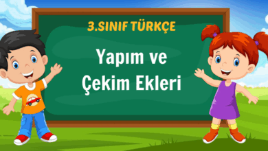 Yapım ve Çekim Ekleri