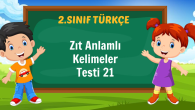 Zıt Anlamlı Kelimeler Testi 21