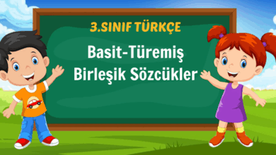 basit türemiş