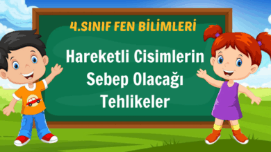 cisim