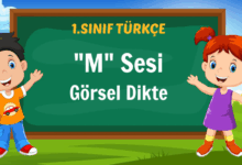 m sesi