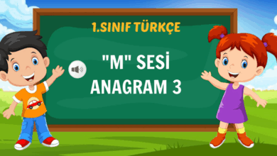 m sesi 3